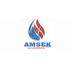Amsek Oil And Gas Services Limited logo